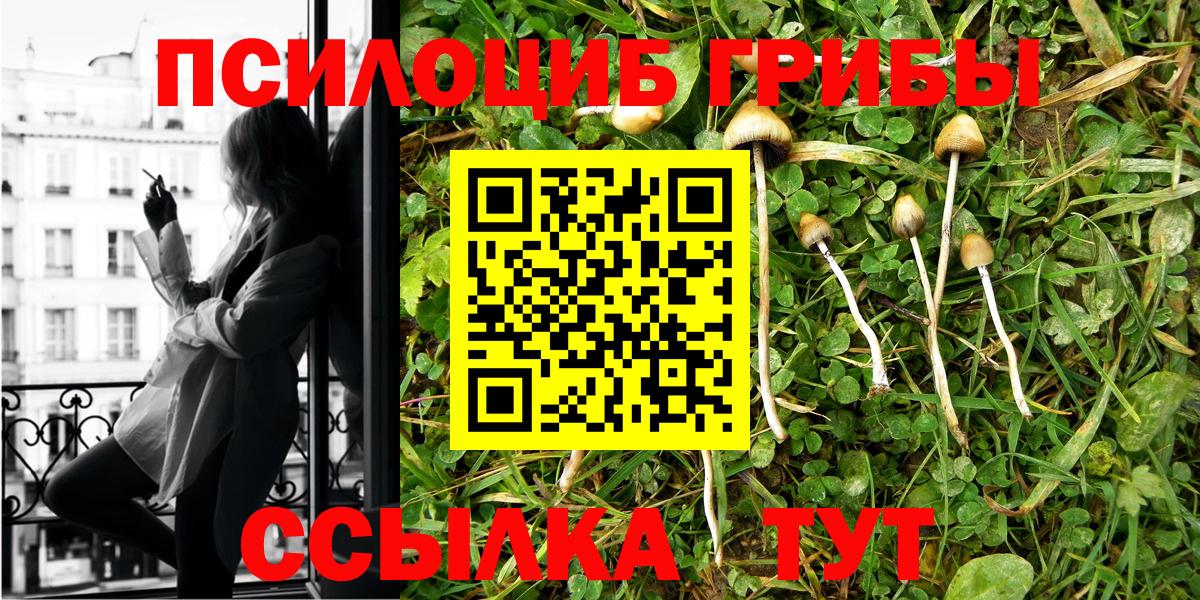 Тамбов  закладка  Вход с VPN  Псилоцибиновые грибы MAGIC MUSHROOMS 